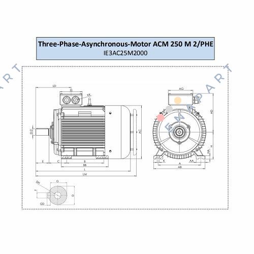 ACM 250 M-2/PHE Motor asíncrono trifásico