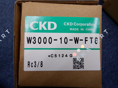 W3000-10-W-FT8 Regulador de filtro