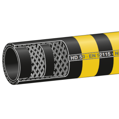 HD 10