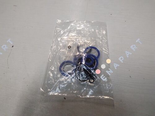 repair kit for 40RPE100NO JUNTAS DE REPUESTO