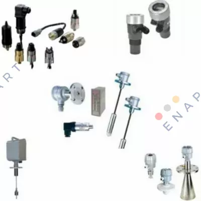SE3810CCRG5000+TA Interruptor de nivel de paleta giratoria con LED