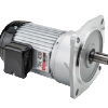 LV Vertical Gear Motors