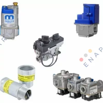 R500Z-44-M001(5037/44/ NPT) regulador de presión de gas