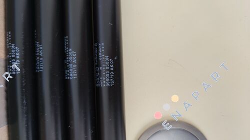 095095 muelle de gas